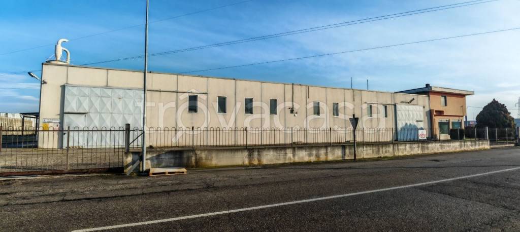 immagine annuncio 2 di 7