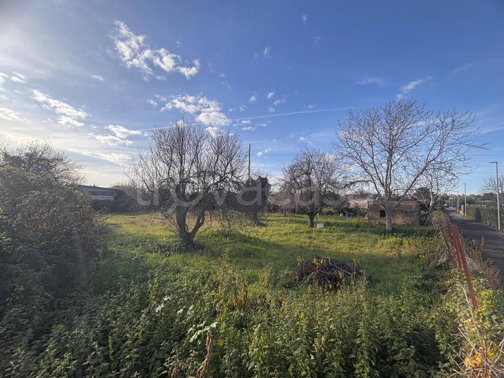 immagine annuncio 6 di 14