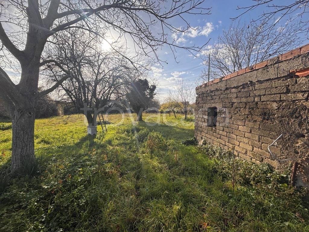 immagine annuncio 13 di 14