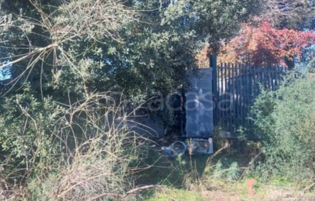 immagine annuncio 5 di 10