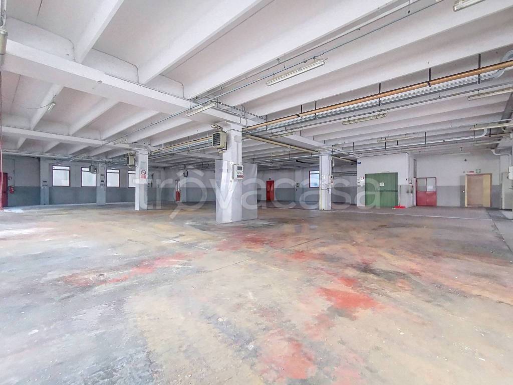 immagine annuncio 4 di 14