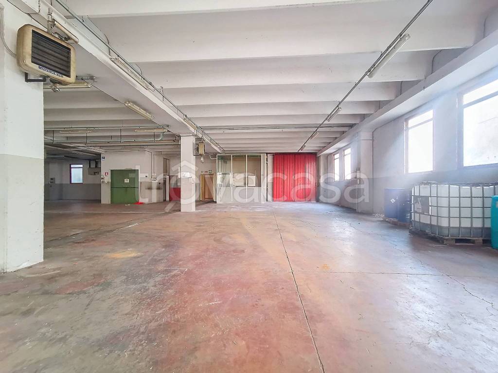 immagine annuncio 5 di 14