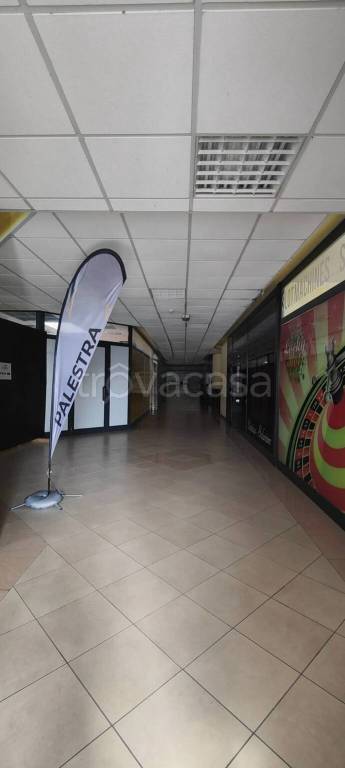 immagine annuncio 2 di 3