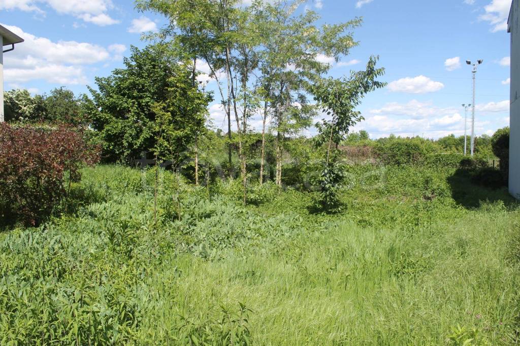 immagine annuncio 4 di 7