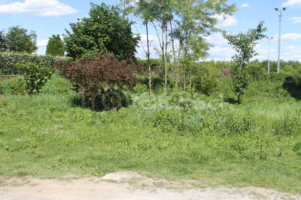 immagine annuncio 5 di 7