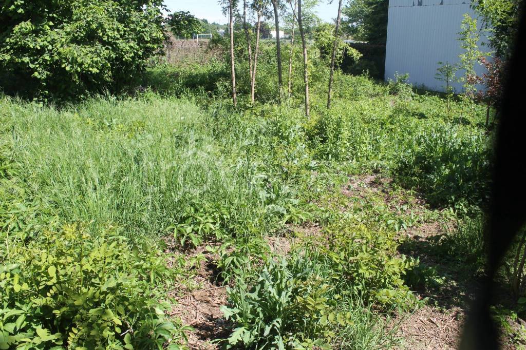 immagine annuncio 6 di 7