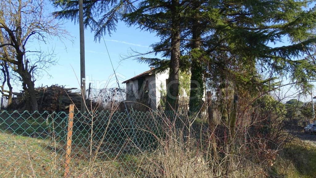 immagine annuncio 11 di 13