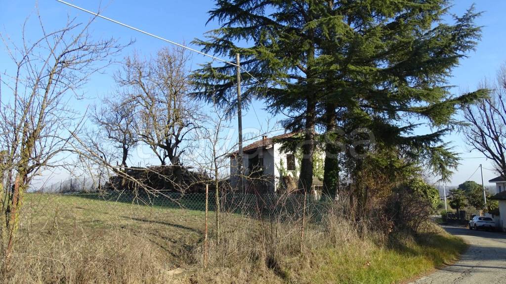 immagine annuncio 12 di 13