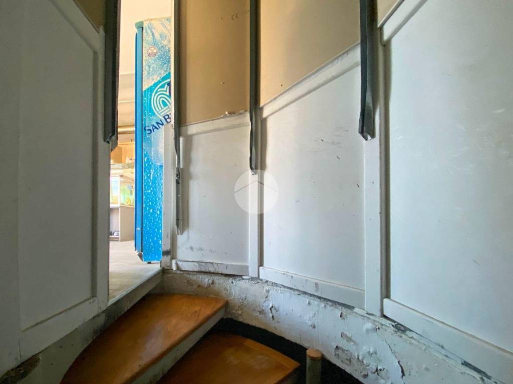 immagine annuncio 10 di 14