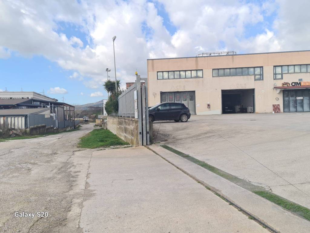 immagine annuncio 1 di 14