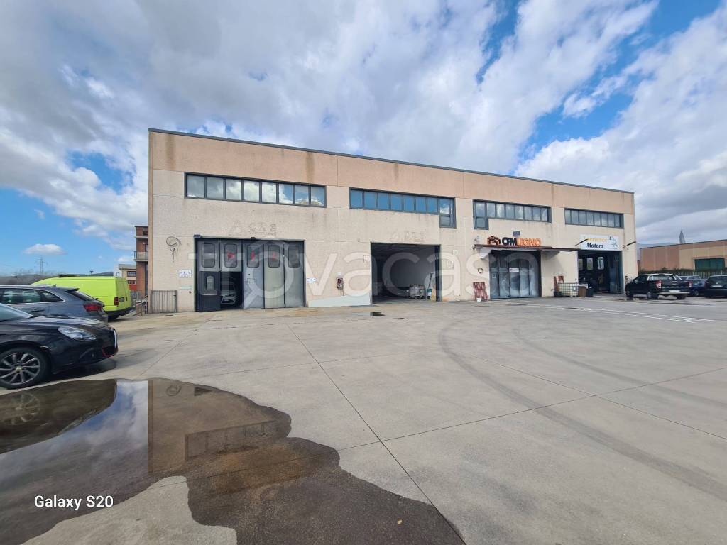 immagine annuncio 3 di 14