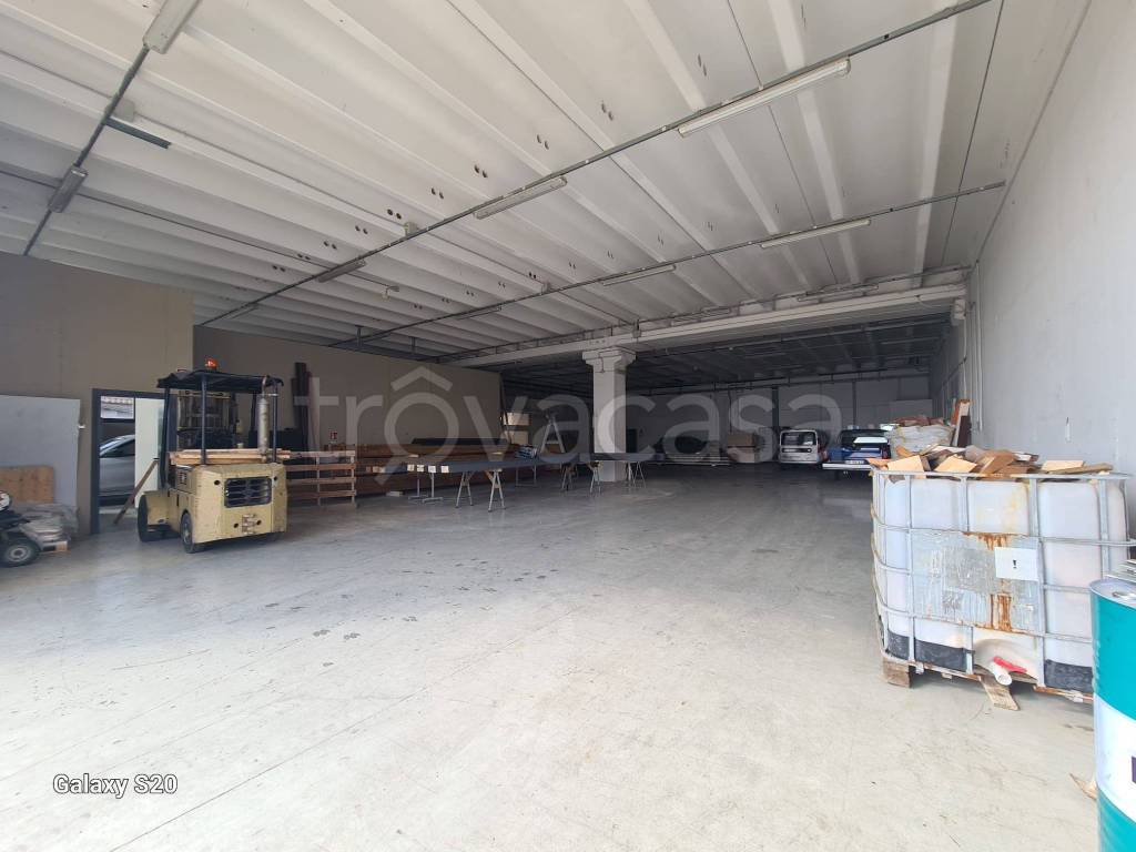 immagine annuncio 5 di 14