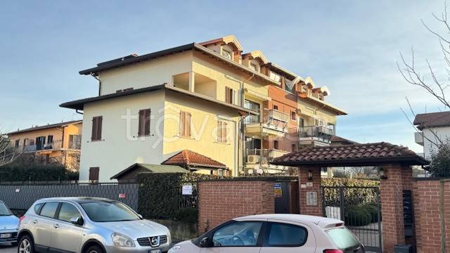 immagine annuncio 6 di 15