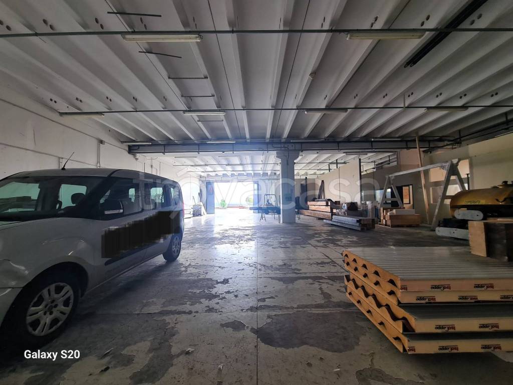 immagine annuncio 9 di 14