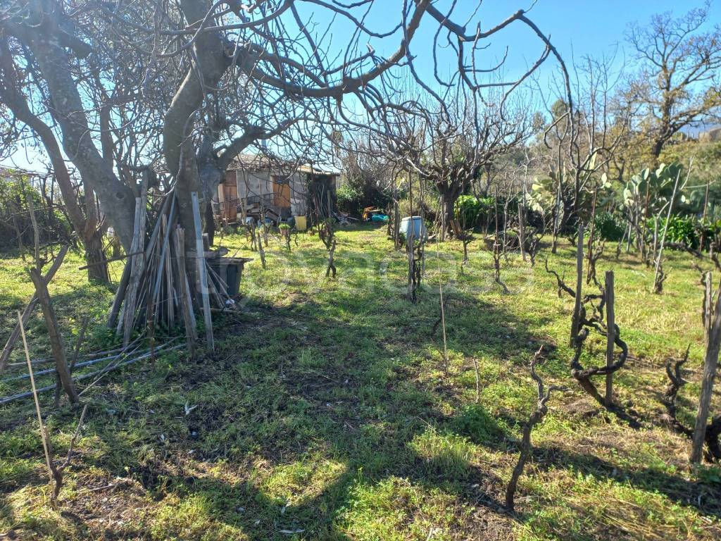 immagine annuncio 7 di 13