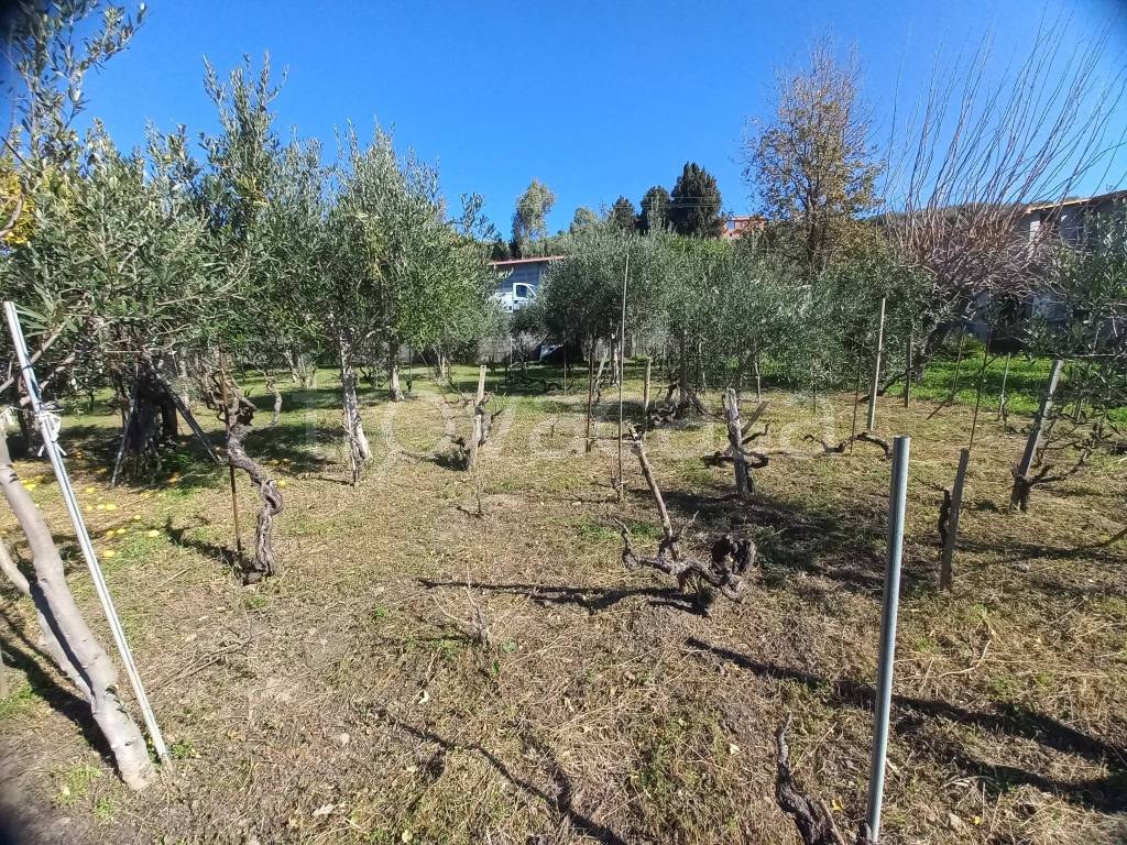 immagine annuncio 10 di 13