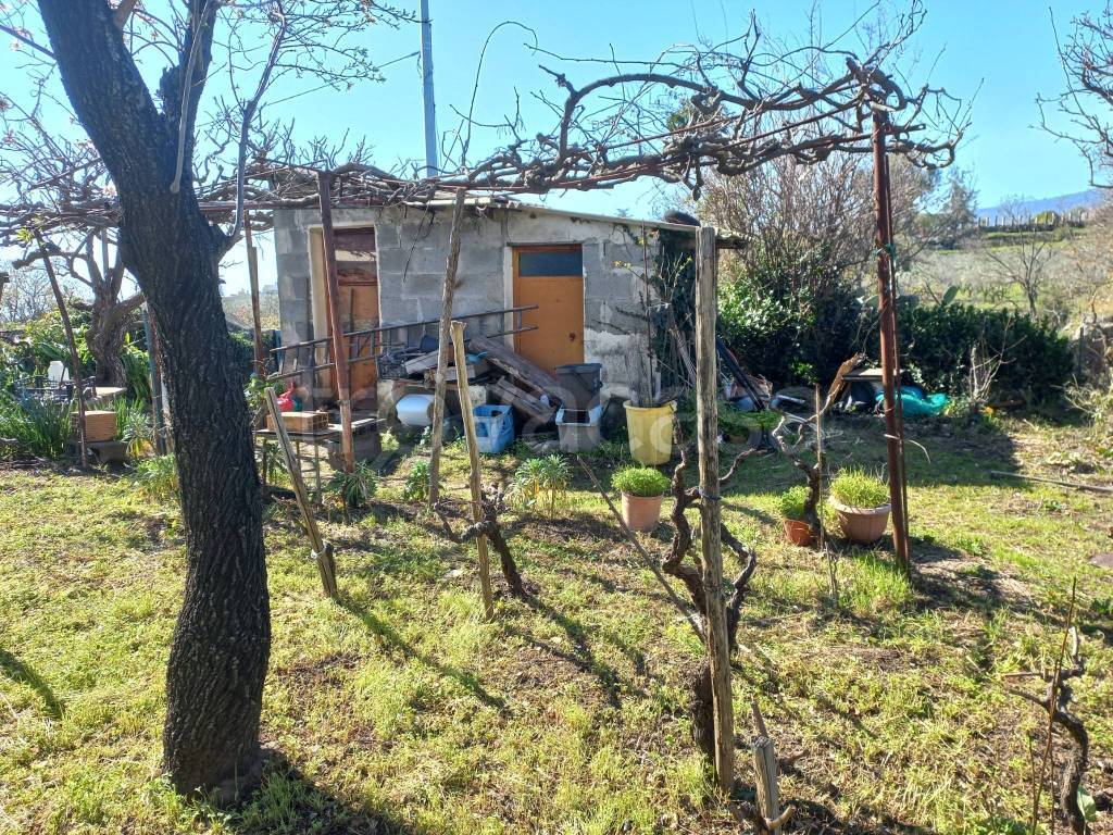 immagine annuncio 12 di 13