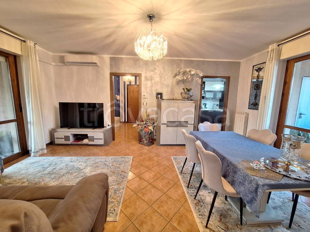 immagine annuncio 11 di 15