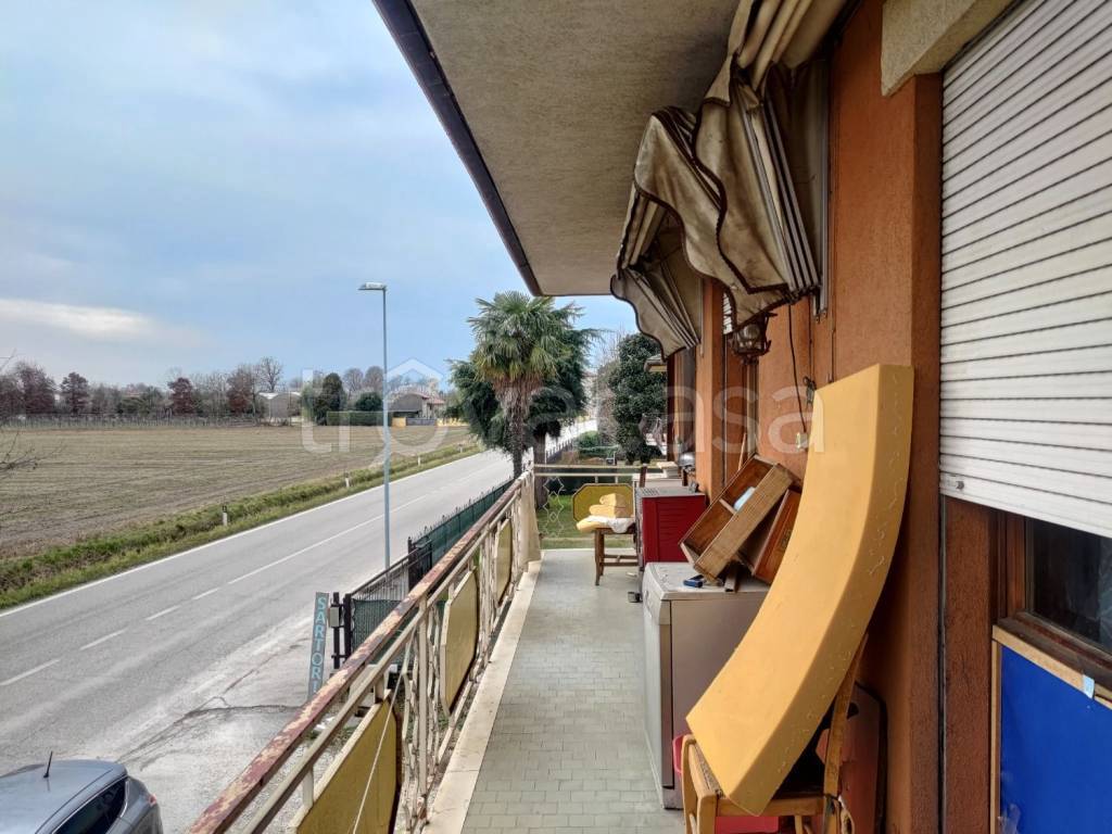 immagine annuncio 4 di 12