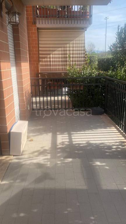 immagine annuncio 9 di 14