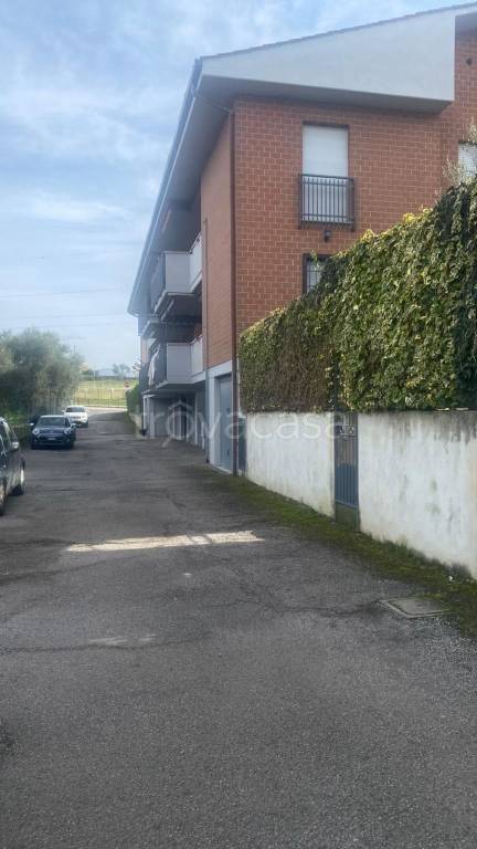 immagine annuncio 12 di 14