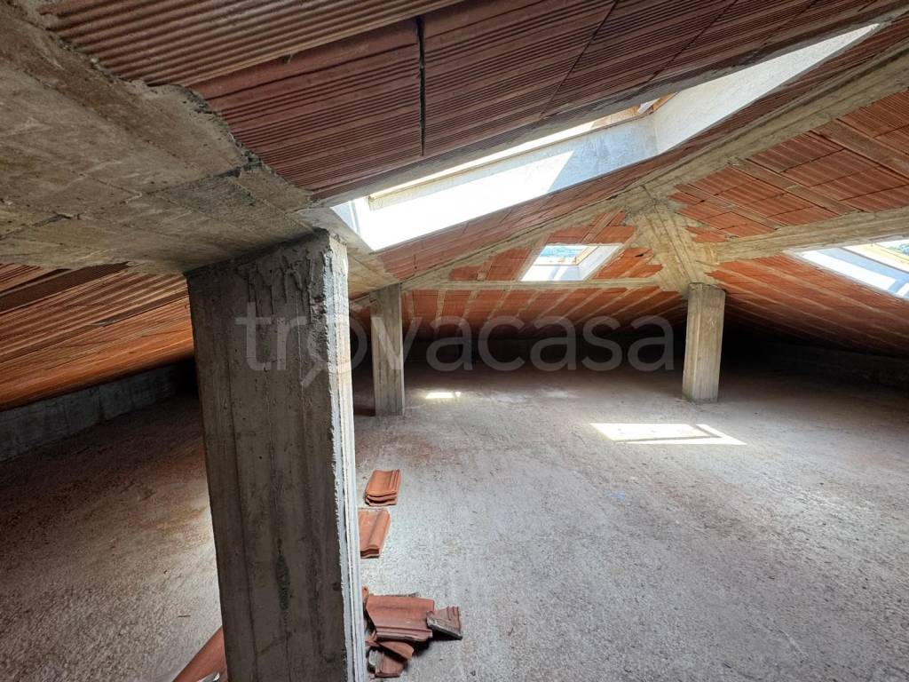 immagine annuncio 5 di 14