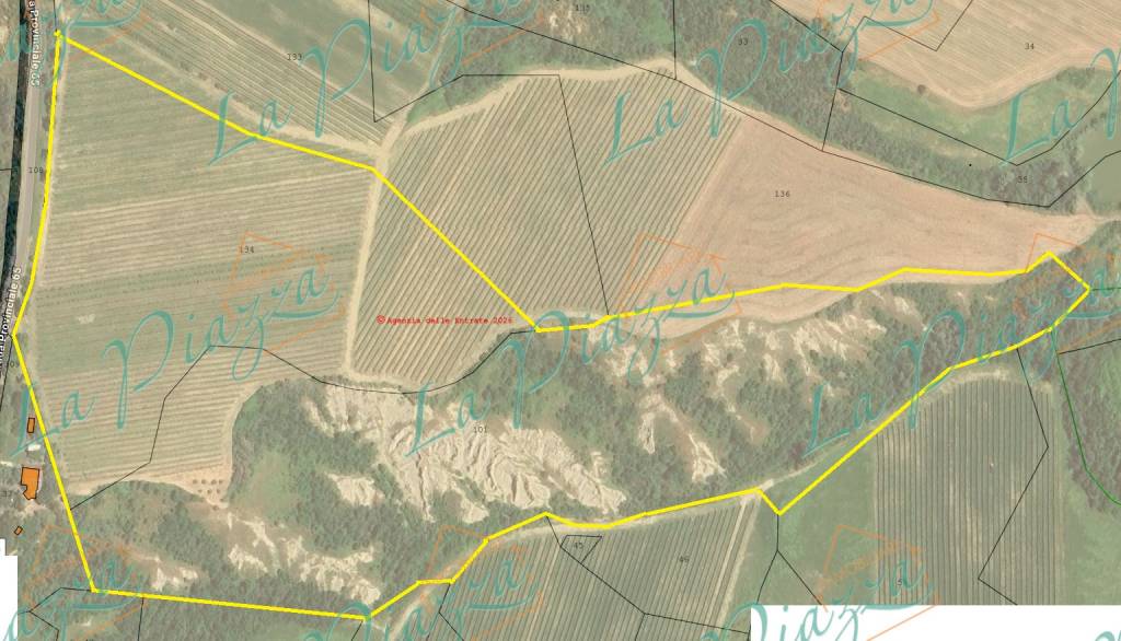 immagine annuncio 12 di 13