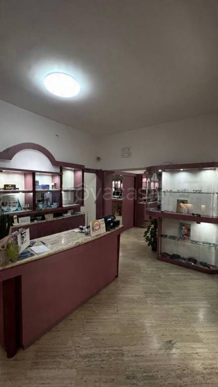 immagine annuncio 6 di 11