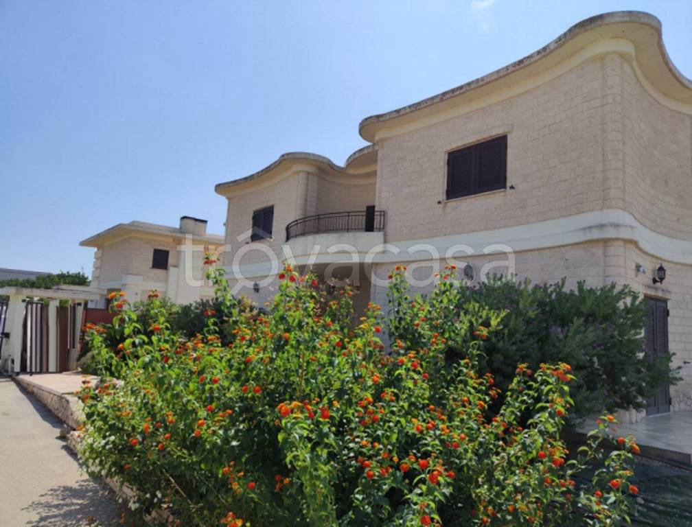 immagine annuncio 10 di 13