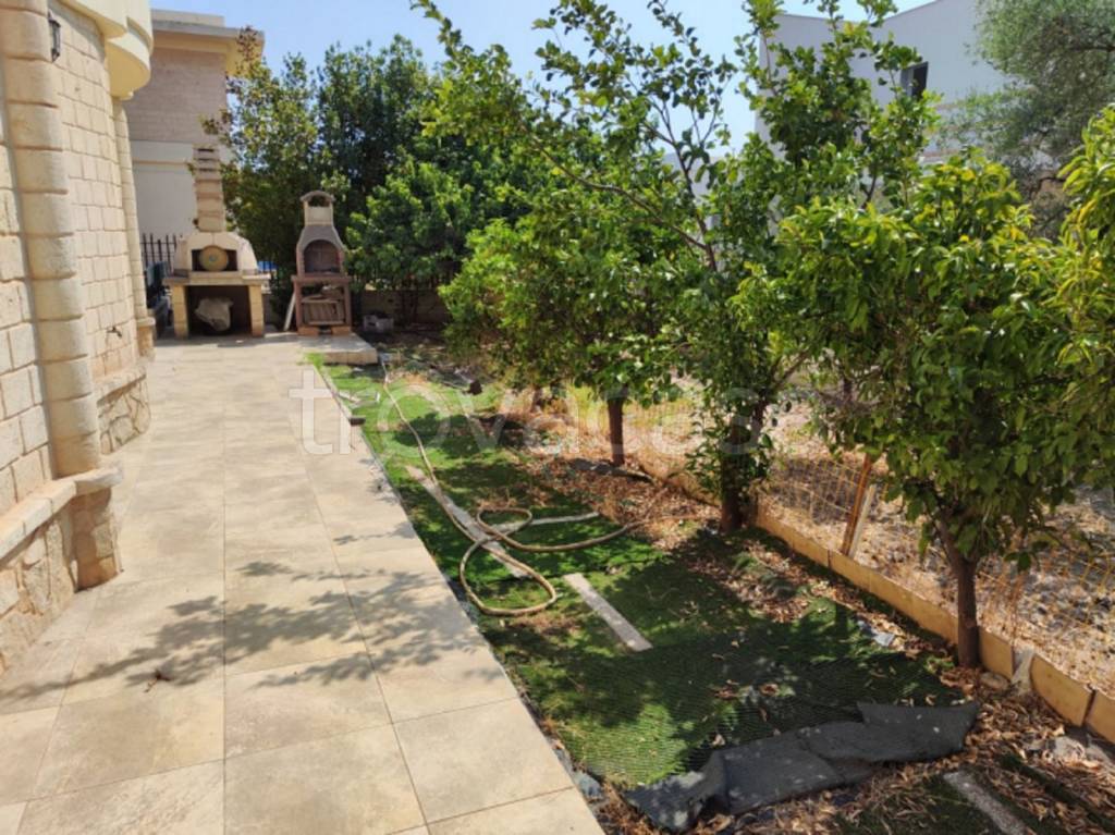 immagine annuncio 11 di 13