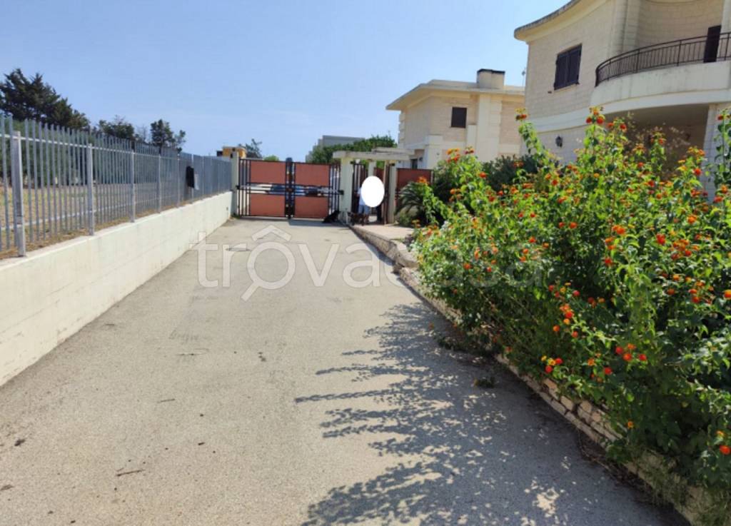 immagine annuncio 12 di 13