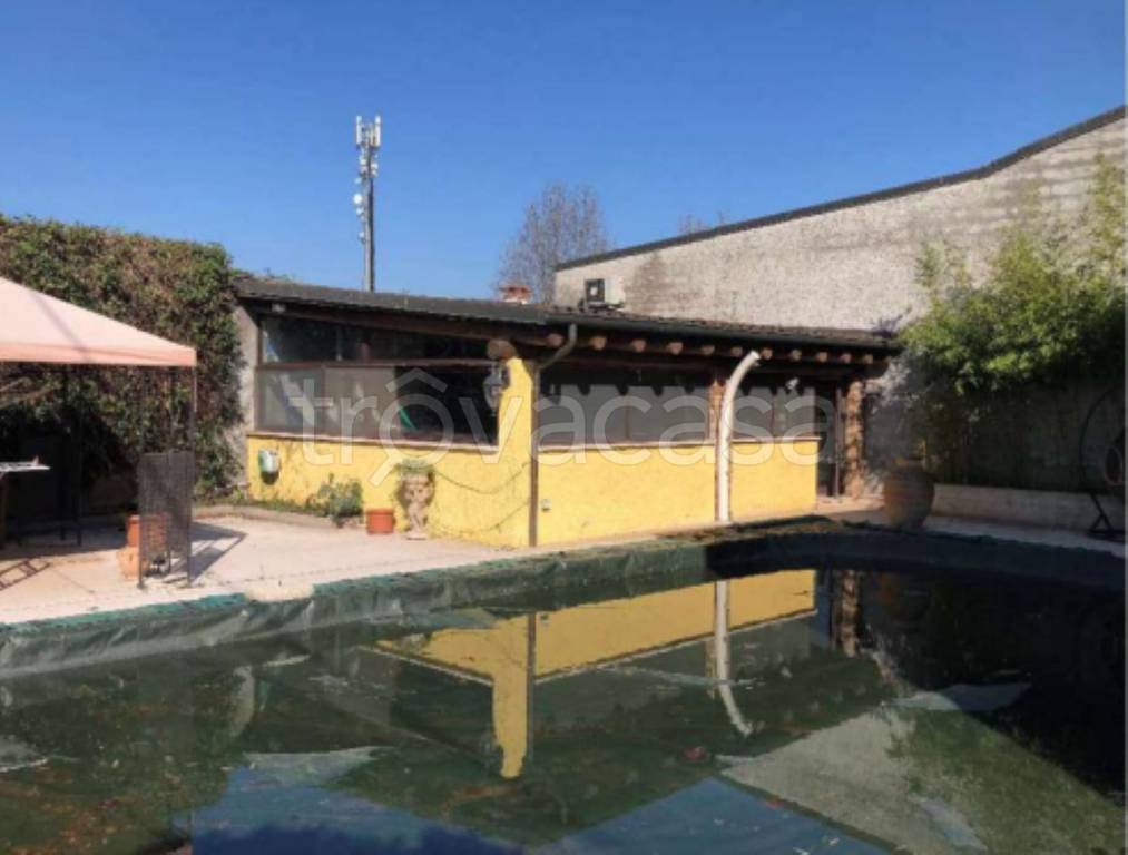 immagine annuncio 4 di 12