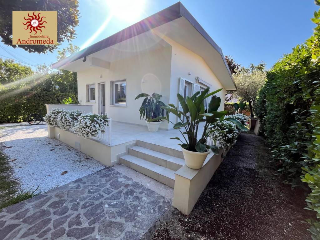 immagine annuncio 1 di 14