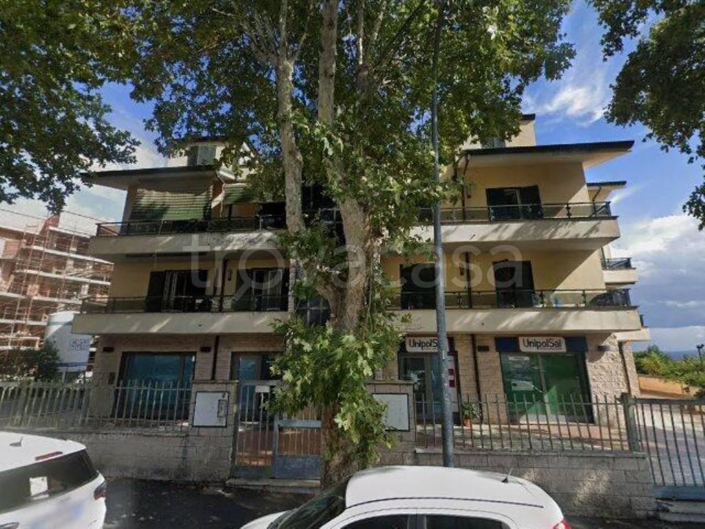 immagine annuncio 12 di 13