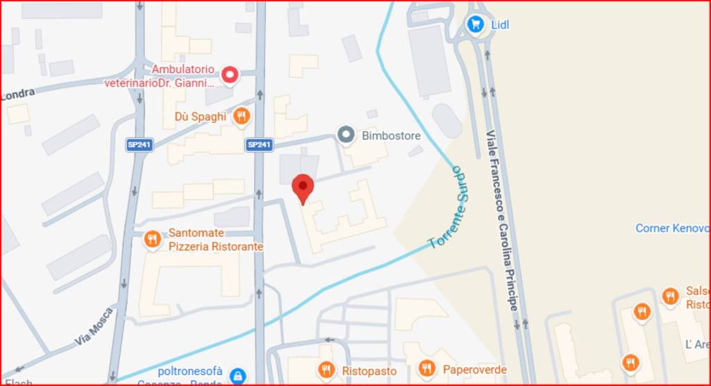 immagine annuncio 10 di 12