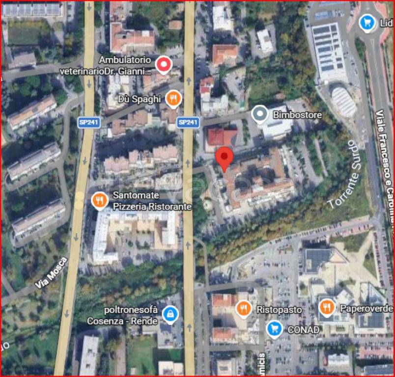 immagine annuncio 11 di 12