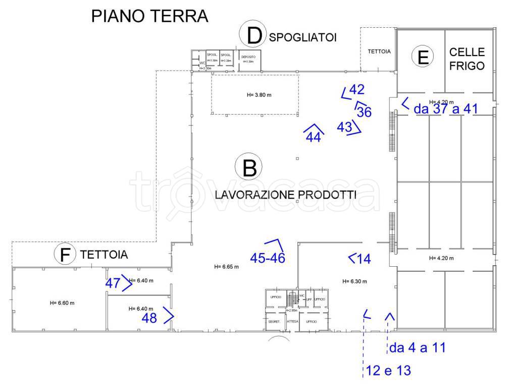 immagine annuncio 4 di 15