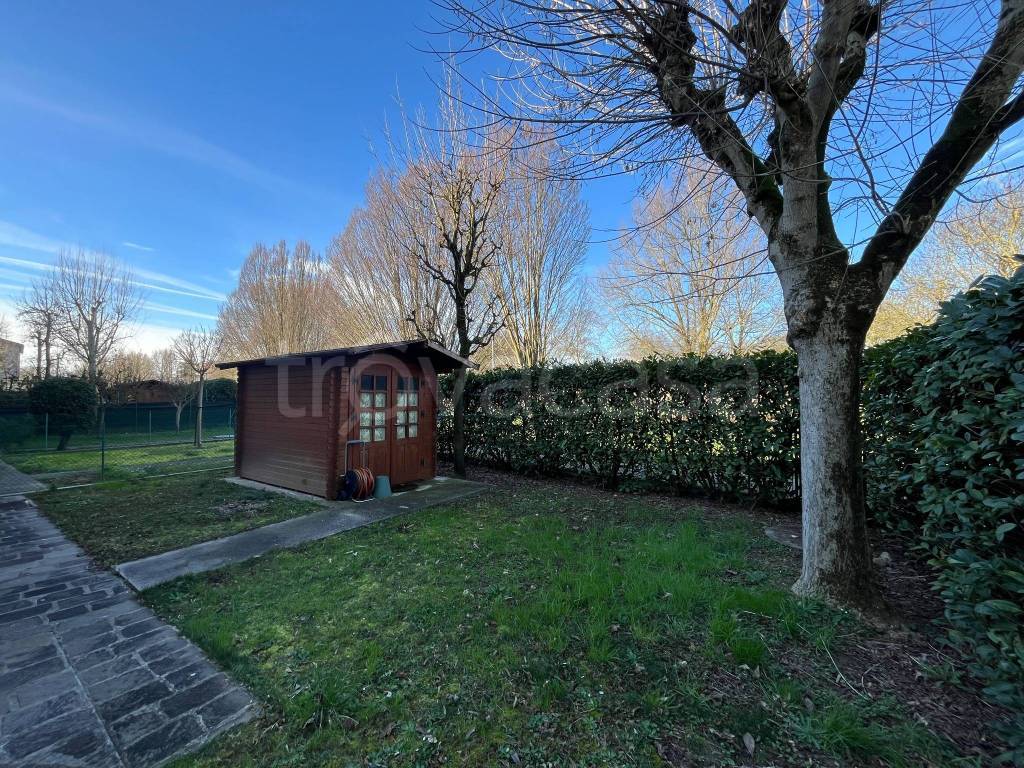 immagine annuncio 6 di 15