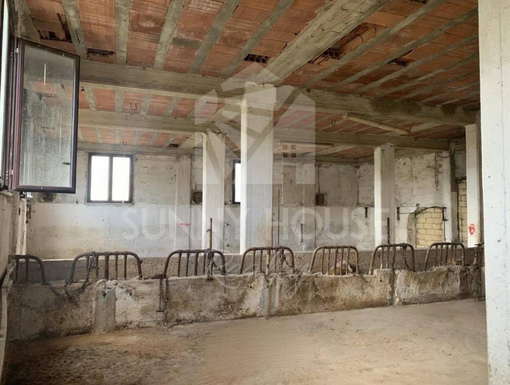 immagine annuncio 3 di 9