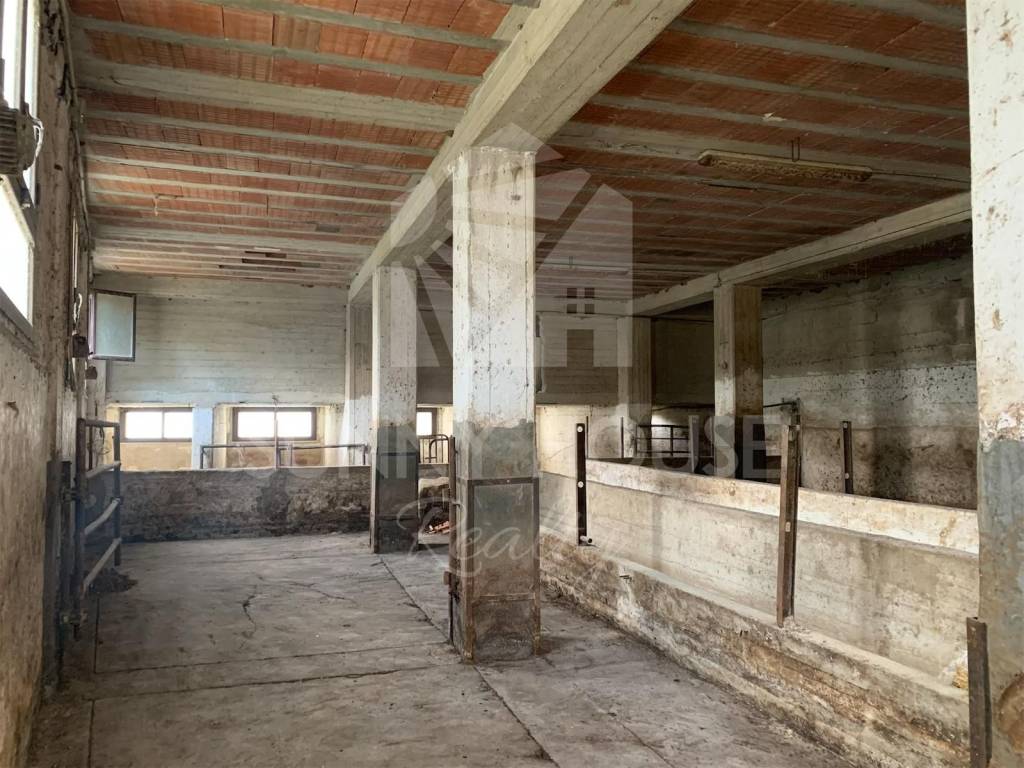 immagine annuncio 5 di 9