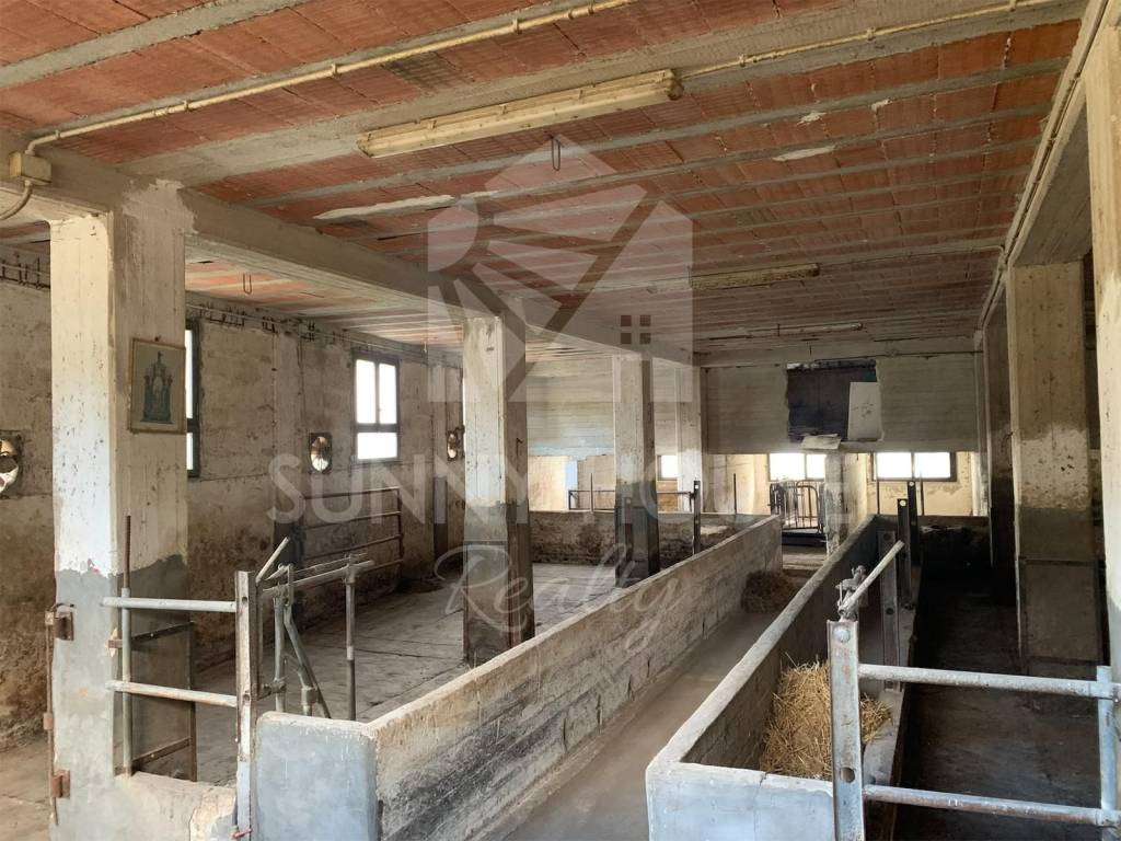 immagine annuncio 6 di 9