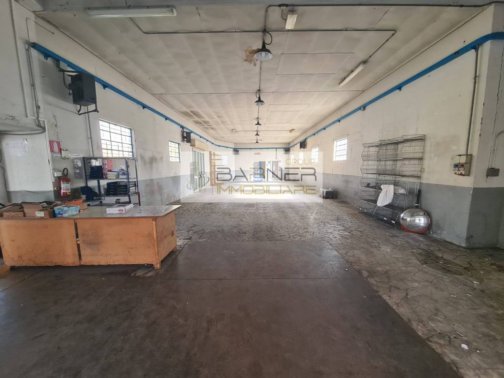 immagine annuncio 13 di 15