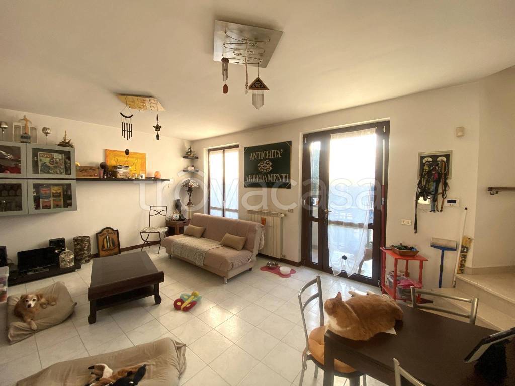 immagine annuncio 5 di 15