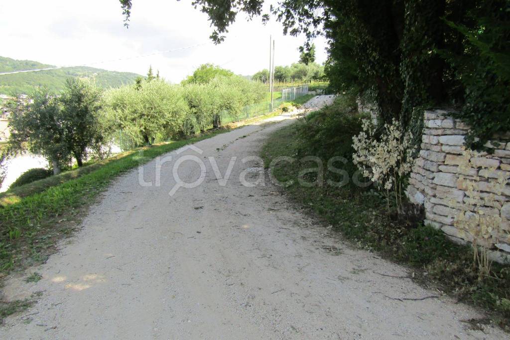 immagine annuncio 4 di 8