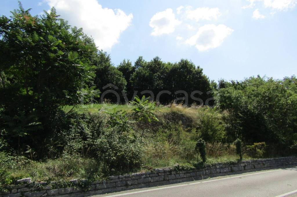 immagine annuncio 6 di 8