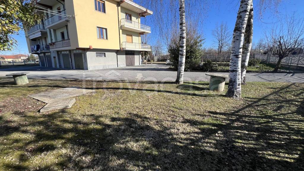 immagine annuncio 10 di 15