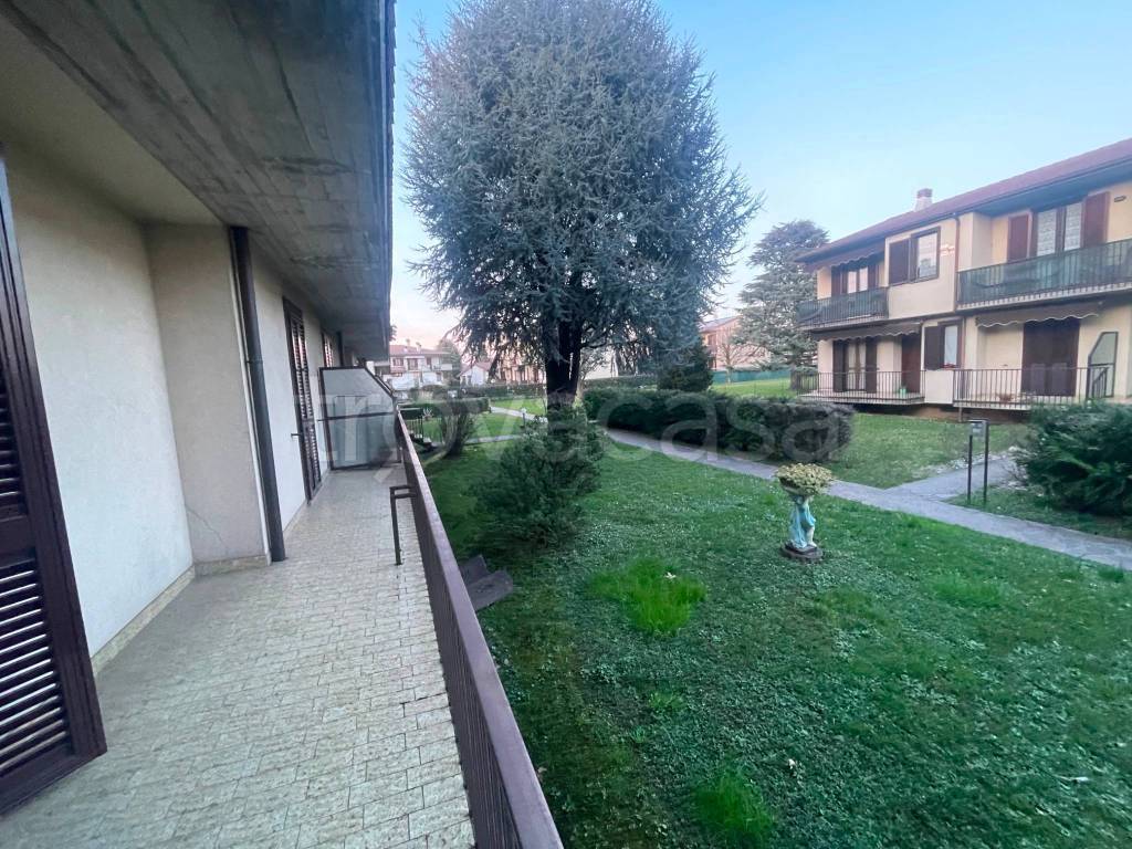 immagine annuncio 3 di 15