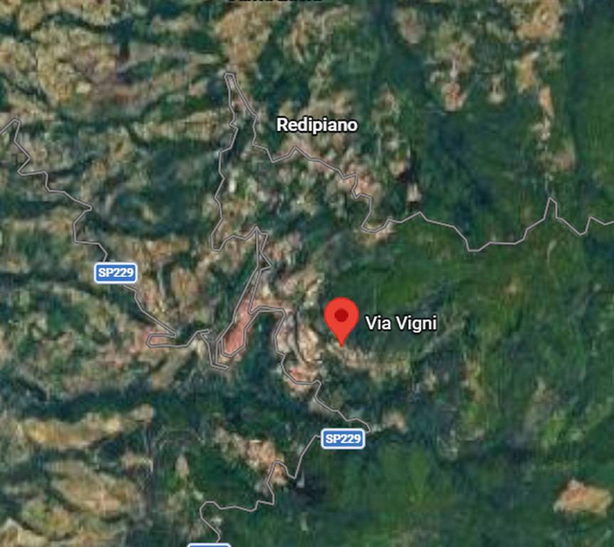 immagine annuncio 3 di 11