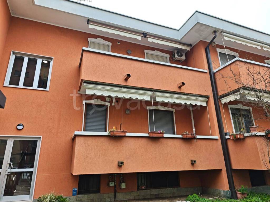 immagine annuncio 1 di 15