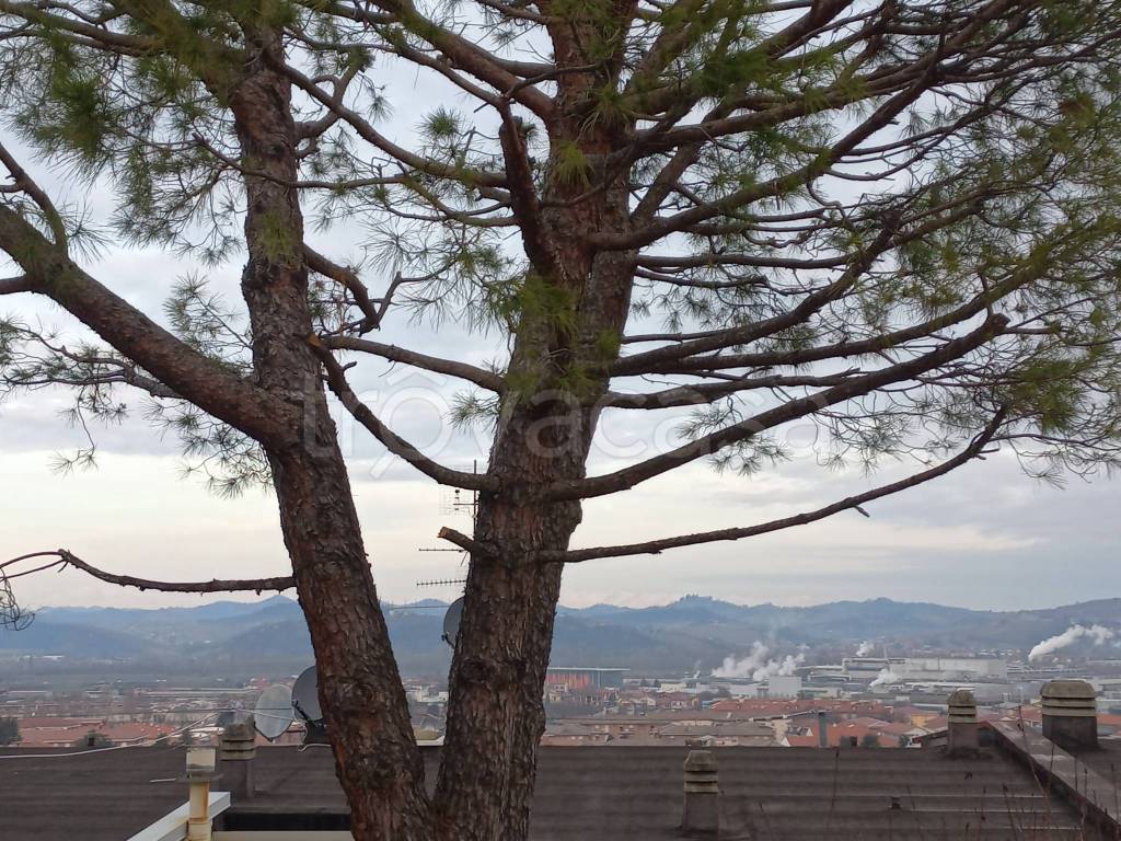 immagine annuncio 4 di 8